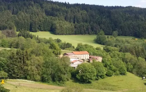 Pesli&egrave;res en image